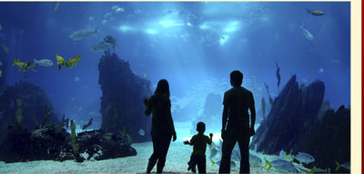 Family at Aquarium
